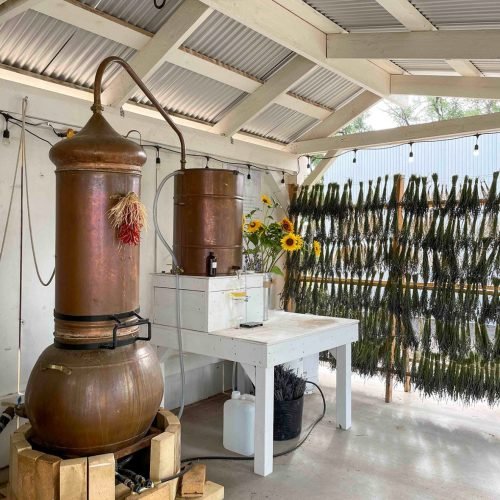 Copper distillation equipment used for extracting lavender essential oil