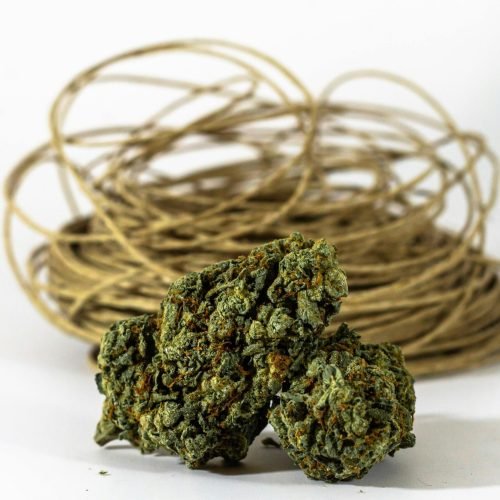 pexels perfect lens 12995225